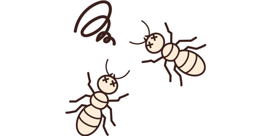 シロアリ予防で弱るシロアリ